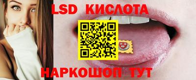 стаф Заводоуковск