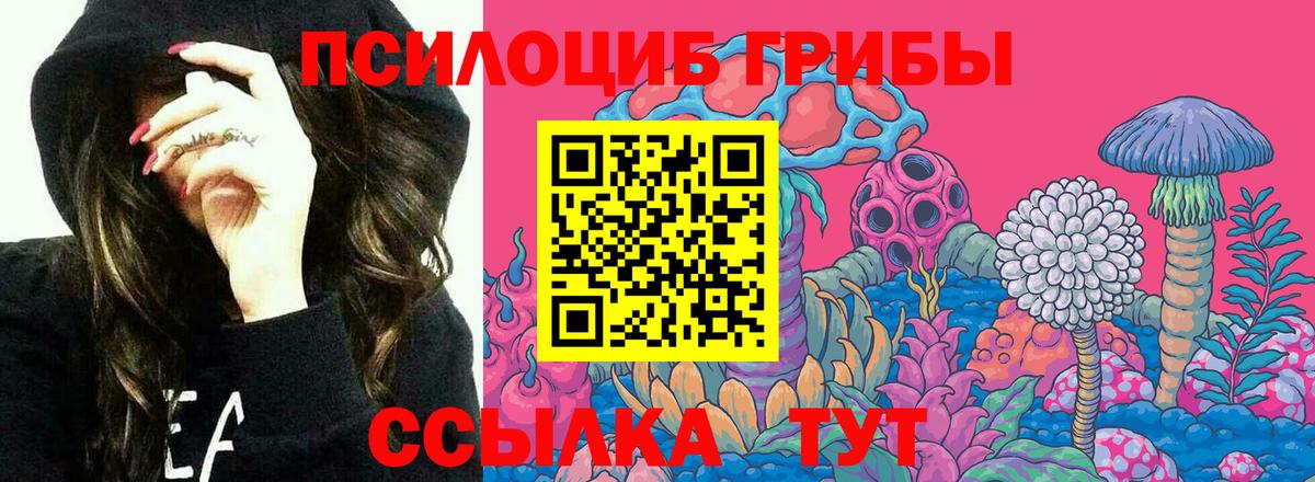 Псилоцибиновые грибы GOLDEN TEACHER  Вход с VPN  Кириши 